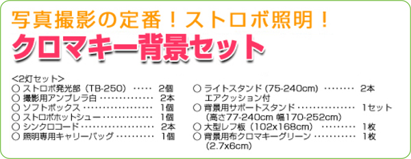 クロマキー/デジタル250Wストロボ 2灯セット内容